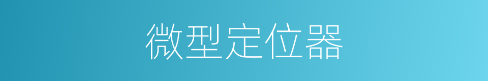 微型定位器的同义词