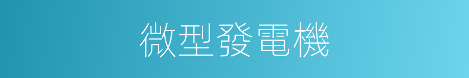 微型發電機的同義詞