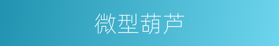 微型葫芦的同义词