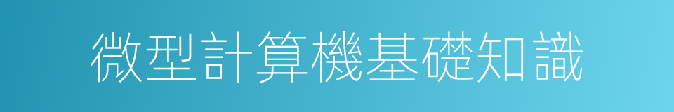 微型計算機基礎知識的同義詞