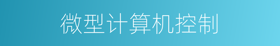 微型计算机控制的同义词
