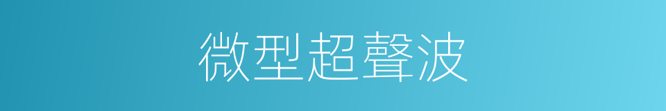 微型超聲波的同義詞