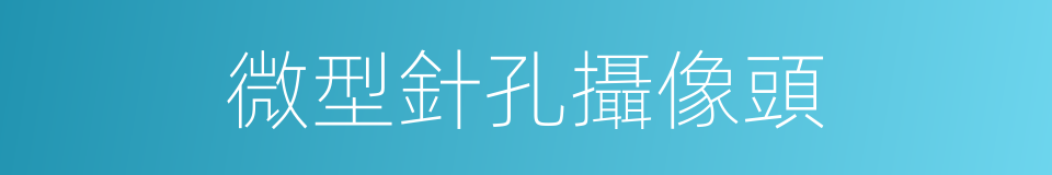 微型針孔攝像頭的同義詞