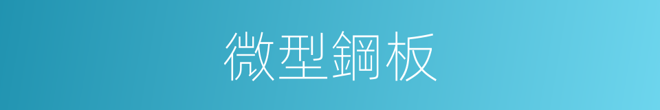 微型鋼板的同義詞