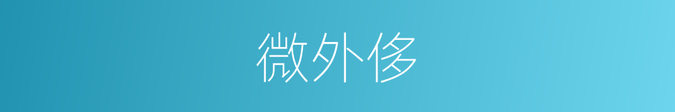 微外侈的同义词