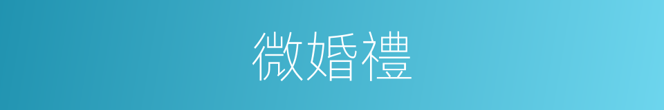 微婚禮的同義詞