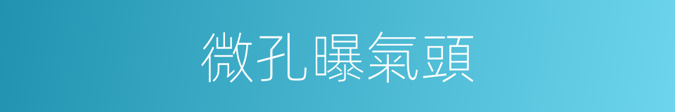 微孔曝氣頭的同義詞