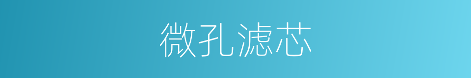 微孔滤芯的同义词