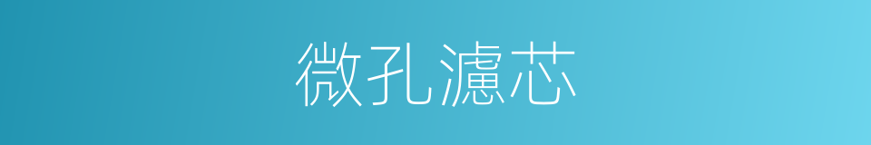 微孔濾芯的同義詞