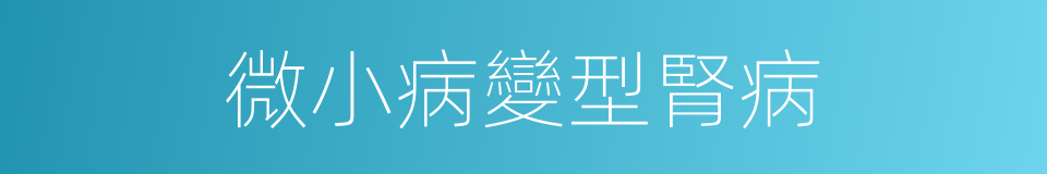 微小病變型腎病的同義詞