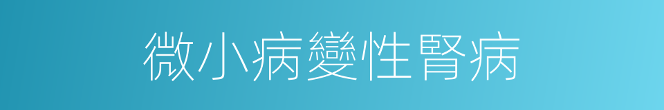 微小病變性腎病的同義詞