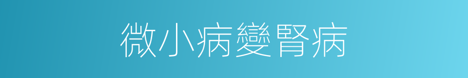 微小病變腎病的同義詞