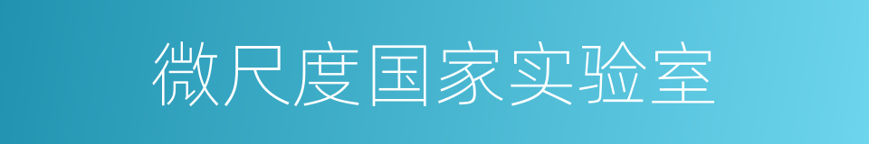 微尺度国家实验室的同义词