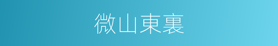 微山東裏的同義詞