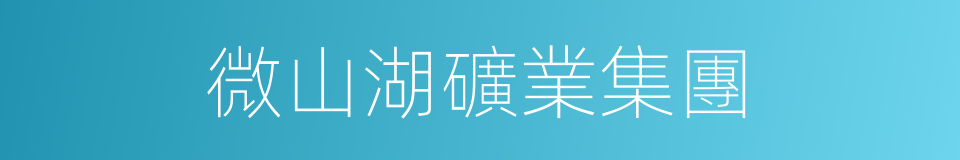 微山湖礦業集團的同義詞