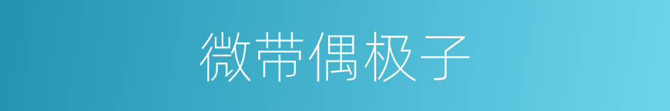 微带偶极子的同义词