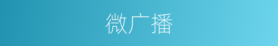 微广播的同义词