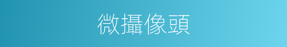 微攝像頭的同義詞