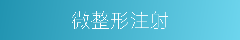 微整形注射的同义词