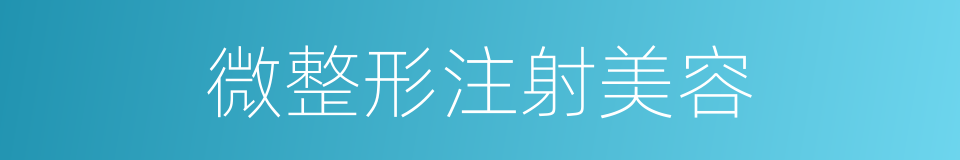 微整形注射美容的同义词