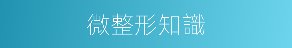 微整形知識的同義詞