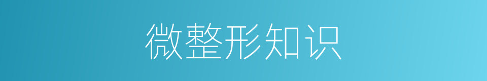 微整形知识的同义词