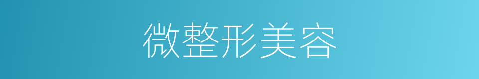微整形美容的同义词