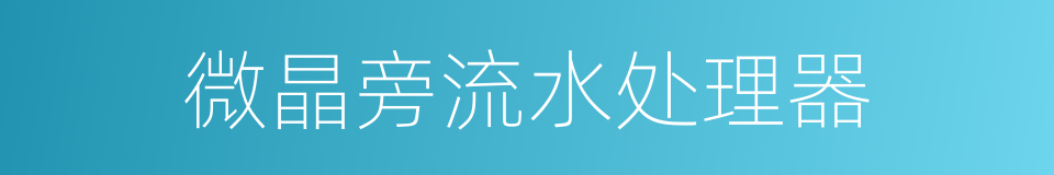 微晶旁流水处理器的同义词
