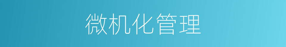微机化管理的同义词