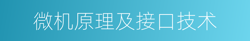 微机原理及接口技术的同义词