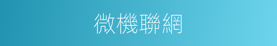 微機聯網的同義詞