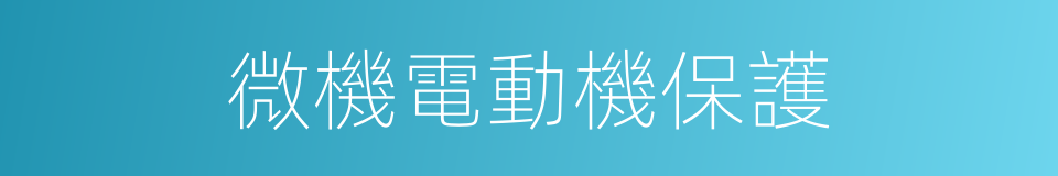 微機電動機保護的同義詞