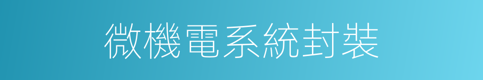 微機電系統封裝的同義詞