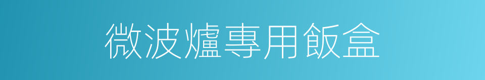 微波爐專用飯盒的同義詞