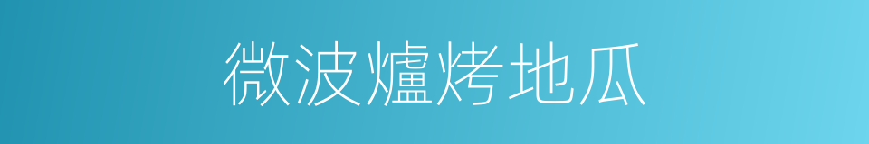 微波爐烤地瓜的同義詞