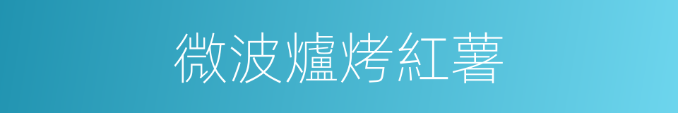 微波爐烤紅薯的同義詞