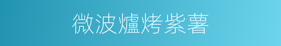 微波爐烤紫薯的同義詞