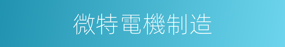微特電機制造的同義詞