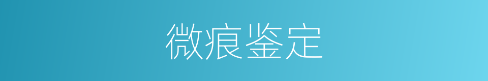 微痕鉴定的同义词