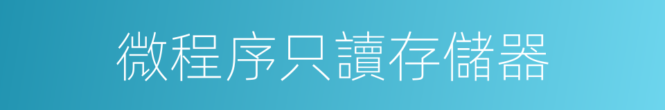 微程序只讀存儲器的同義詞