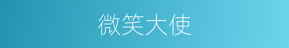 微笑大使的同义词