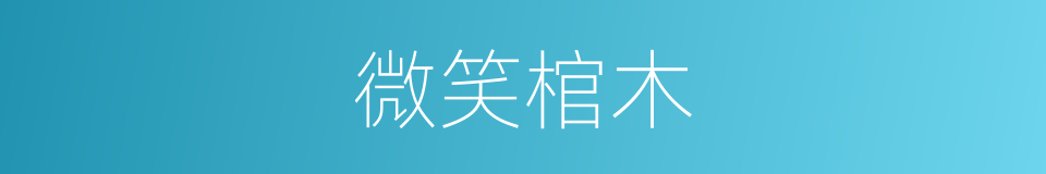 微笑棺木的同义词