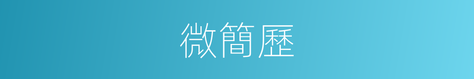 微簡歷的同義詞