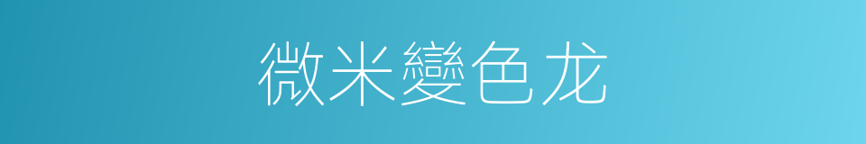 微米變色龙的同義詞