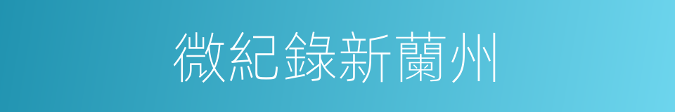 微紀錄新蘭州的同義詞