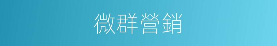 微群營銷的同義詞