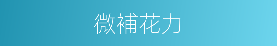 微補花力的同義詞