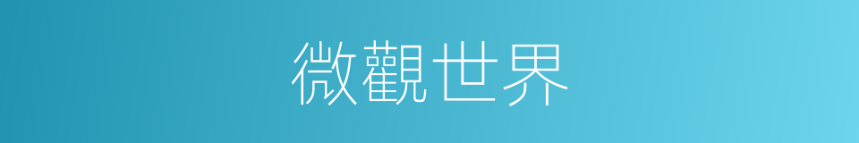 微觀世界的意思