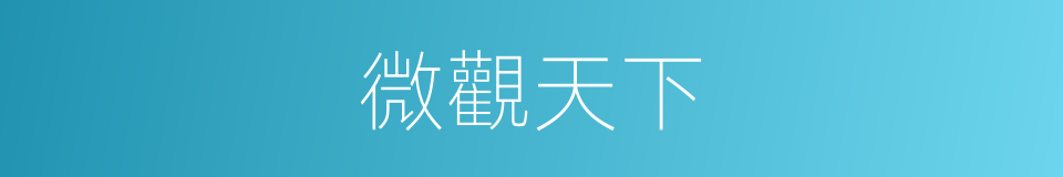 微觀天下的同義詞