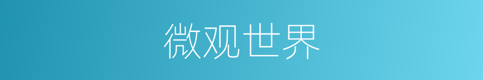 微观世界的意思